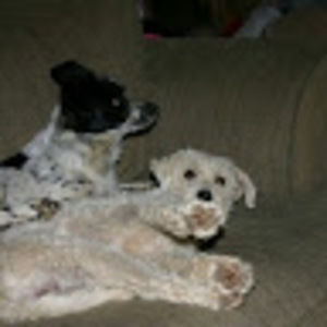 Meet your Posher, Geraldine